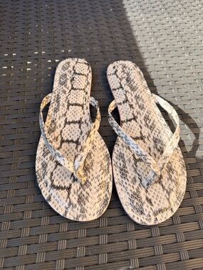 J. Crew Snake-Print Flip Flop Sandals in Beige and Black
